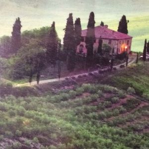 Meet your Posher, Mary ellen